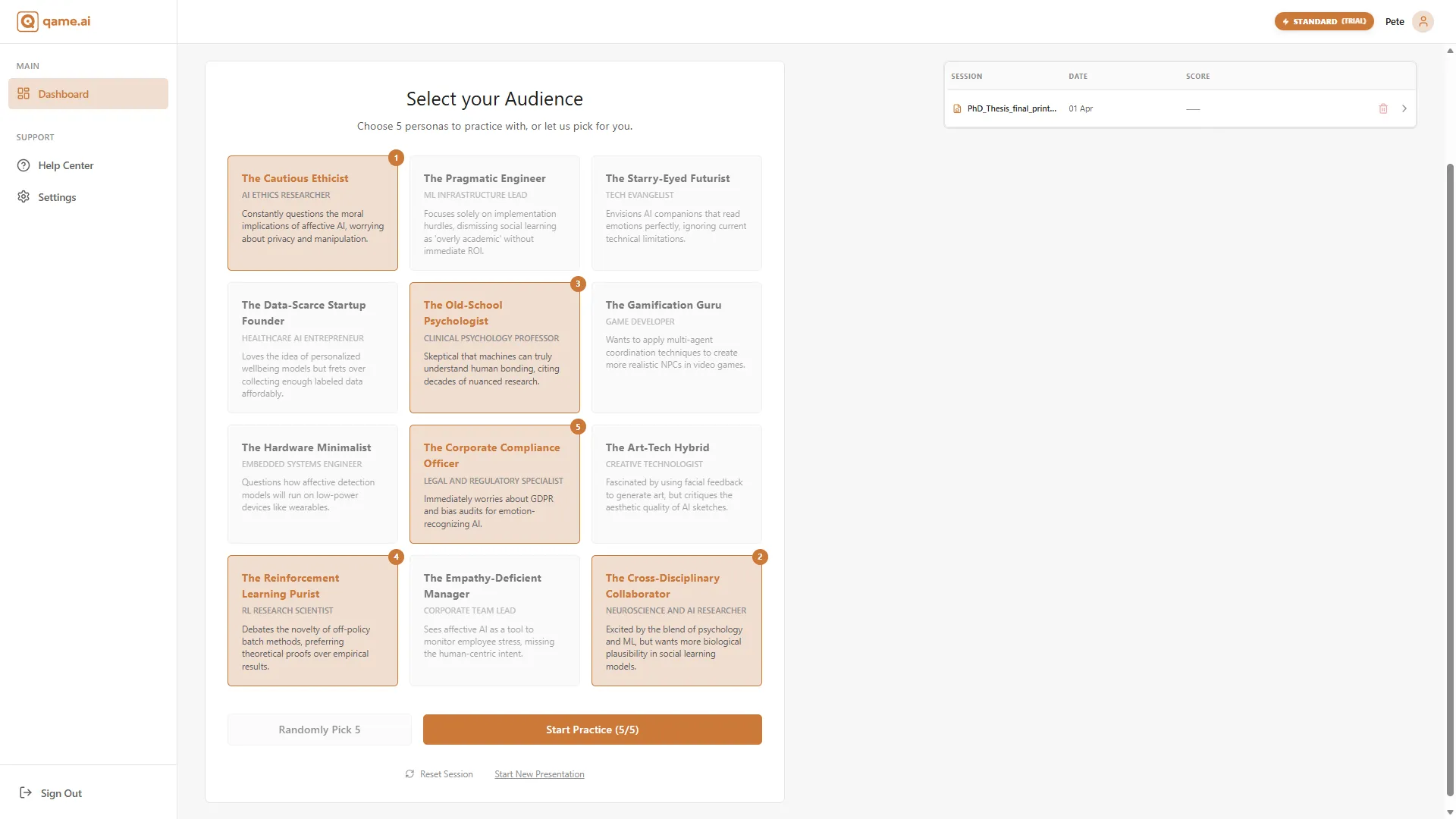Persona Selection Interface
